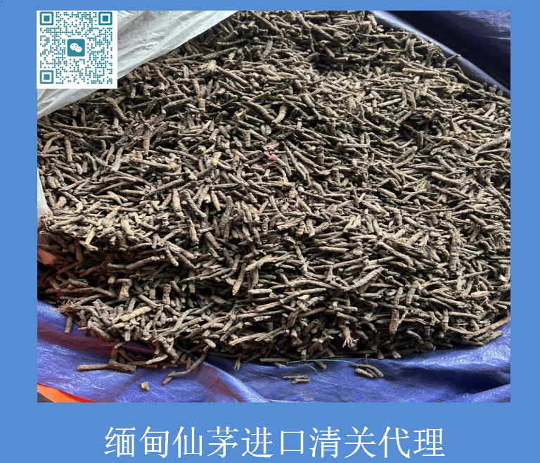 缅甸仙茅进口清关.jpg