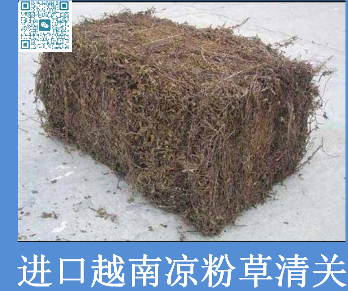 越南凉粉草清关.png