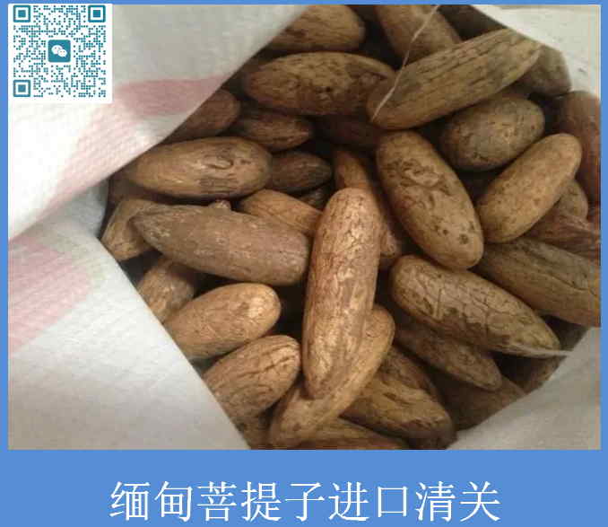 缅甸菩提子进口清关.jpg